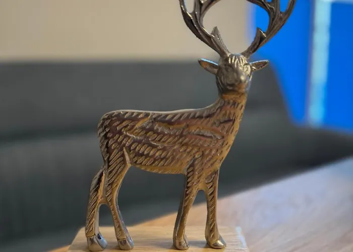 D3 Earth Апартаменты